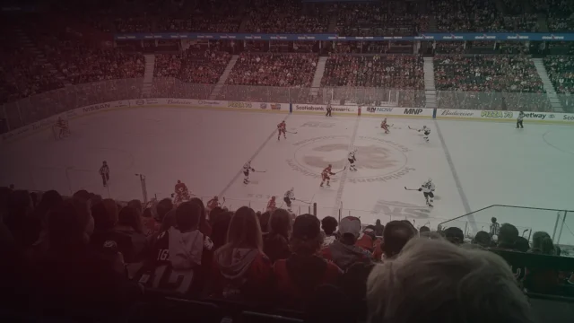 Calgary Flames vs Minnesota Wild live stream