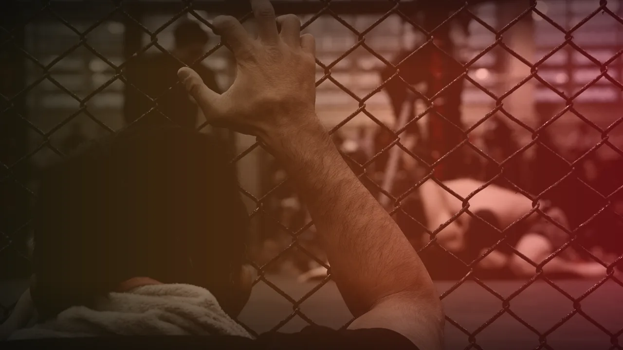 Theodor Berggren vs Rodrigo Sezinando live stream